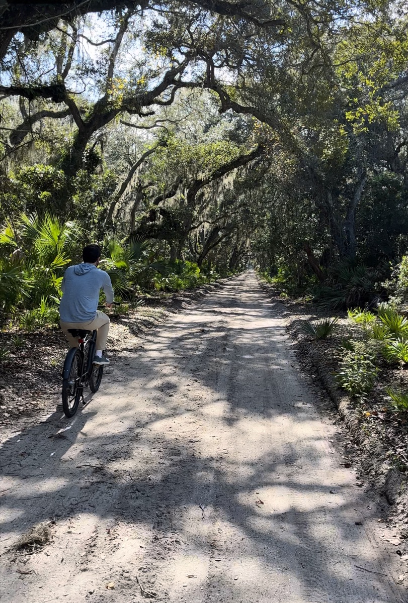 Ledyard biking down the sandy main road through the oak tunnel