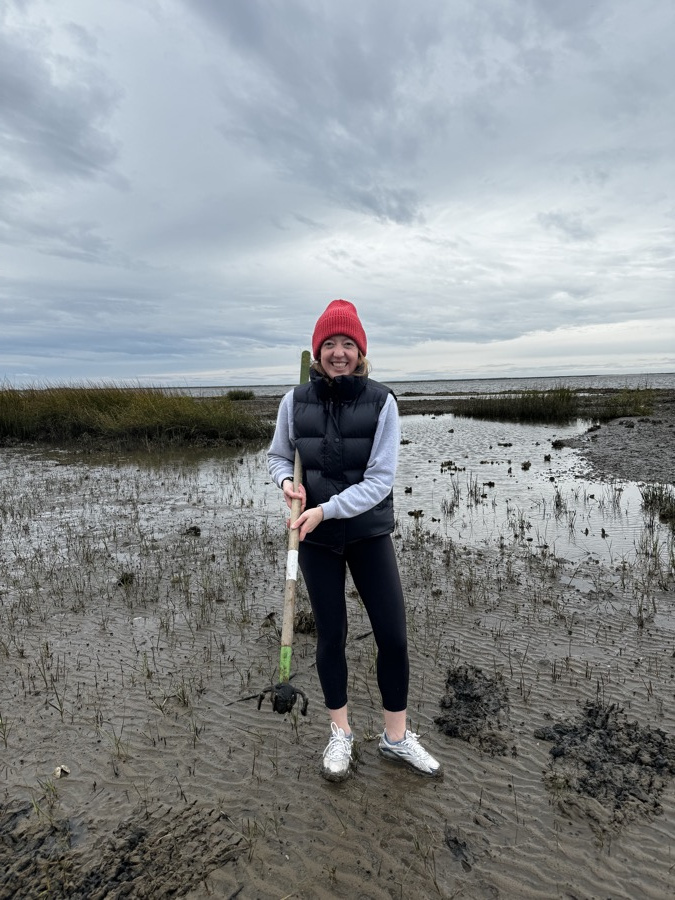 Cat in a red beanie holding a clam rake on the flats at low tide