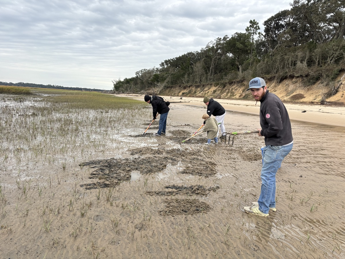 Ledyard pausing mid-rake to look back, with family clamming along the flats behind him