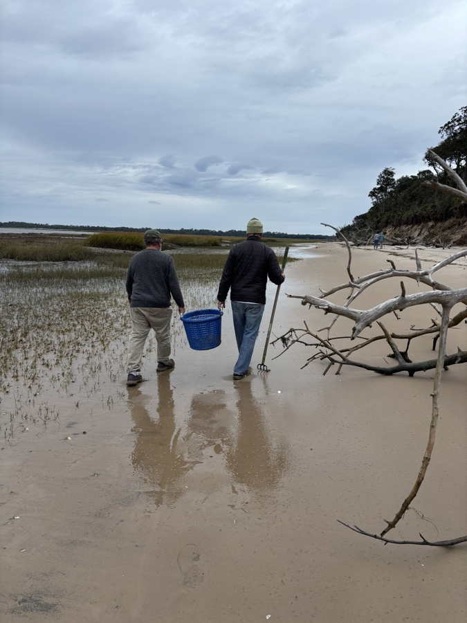 Two of the family clamming on the tidal flats with a rake and a blue basket