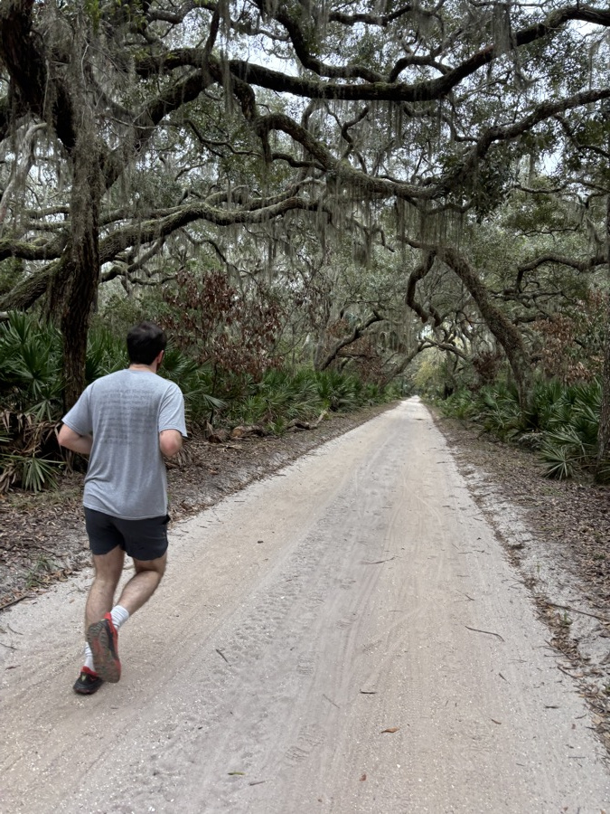 Ledyard running up the sandy main road beneath the oaks